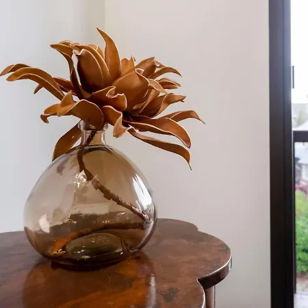 Jean Mermoz By Interhome Deauville