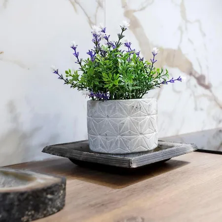 Jean Mermoz By Interhome Ντοβίλ