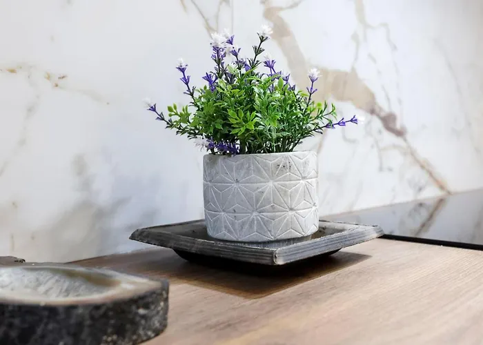 Jean Mermoz By Interhome Deauville